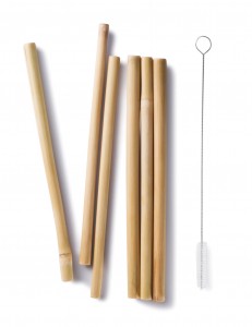 bambu_bamboo straws with brush_056570 (2)